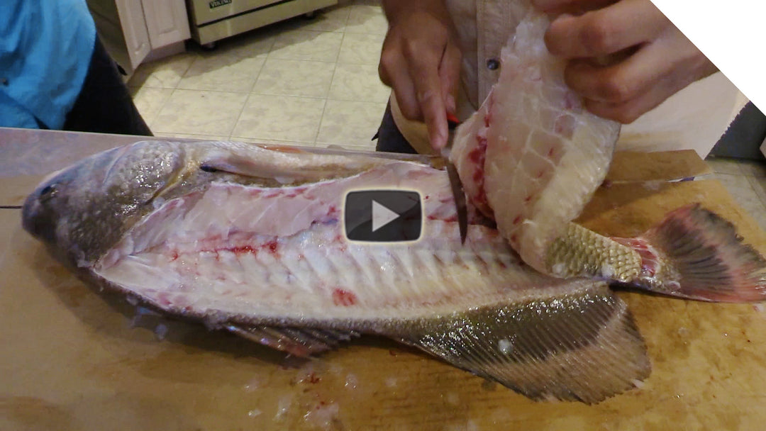 How to clean a sheepshead (drum) 2 easy ways - Sheephead Guide: Part 2