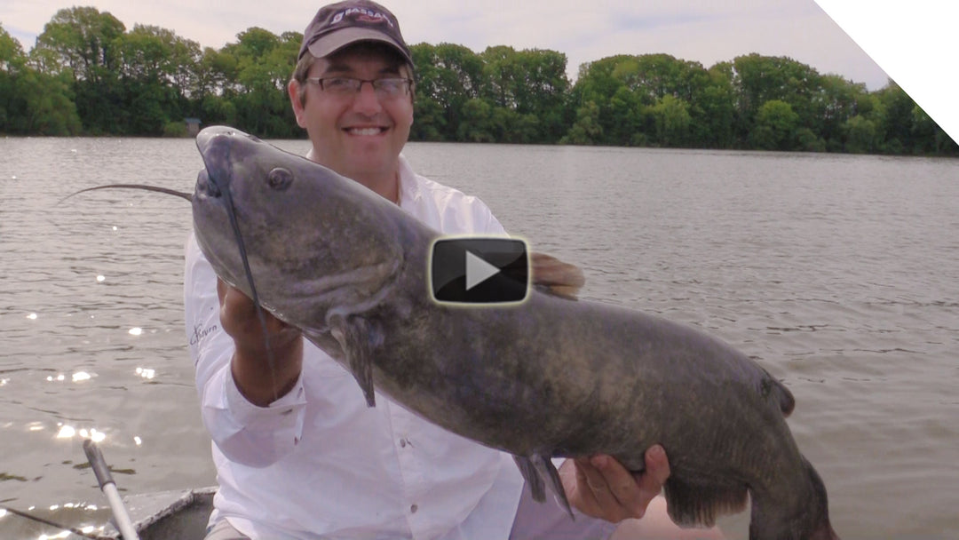 Big time summer catfish