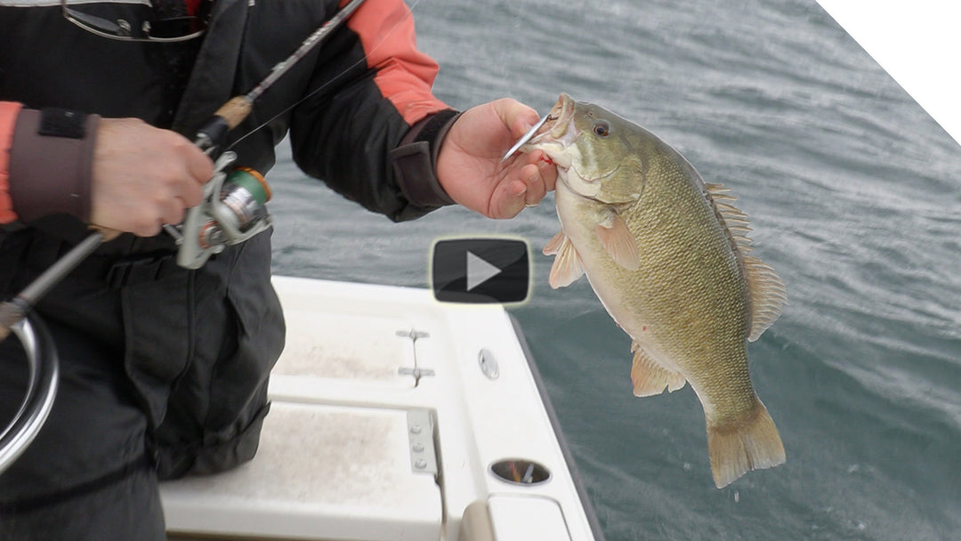 Windy Smallmouth Bass