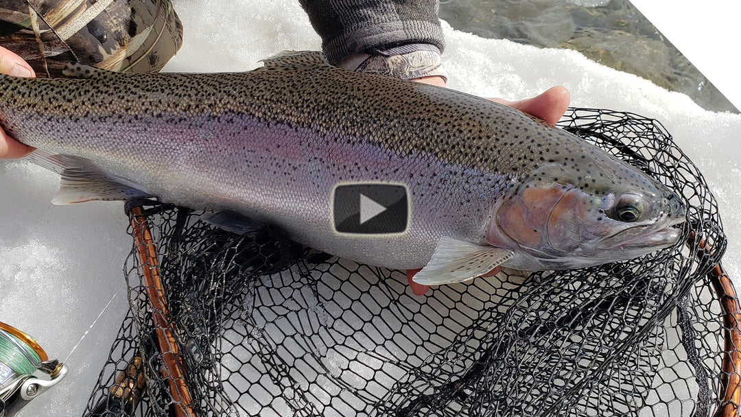 Winter Steelhead - bead bouncing