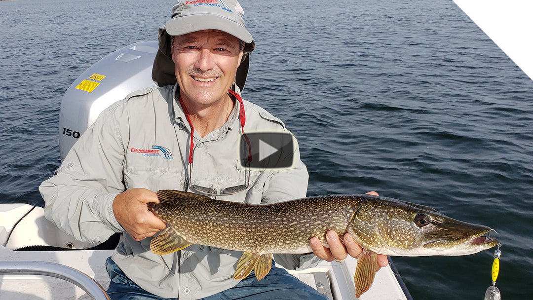 Pike, Largemouth Bass and panfish - Rondeau Bay Action!