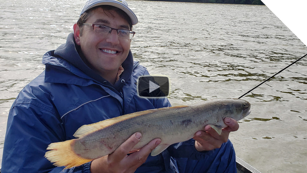 Catching Channel Catfish and a Bonus Fish