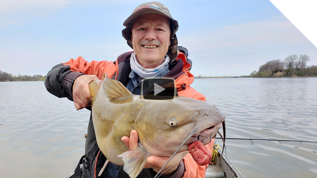 Channel Catfish and Bait Pockets