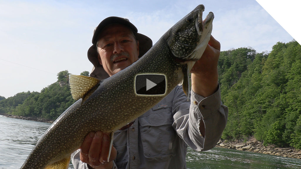 Shoreline spinning for lake trout