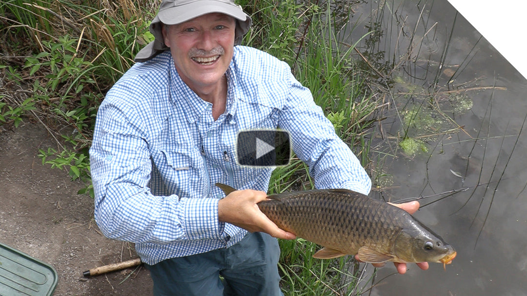 Shore fishing for carp with corn