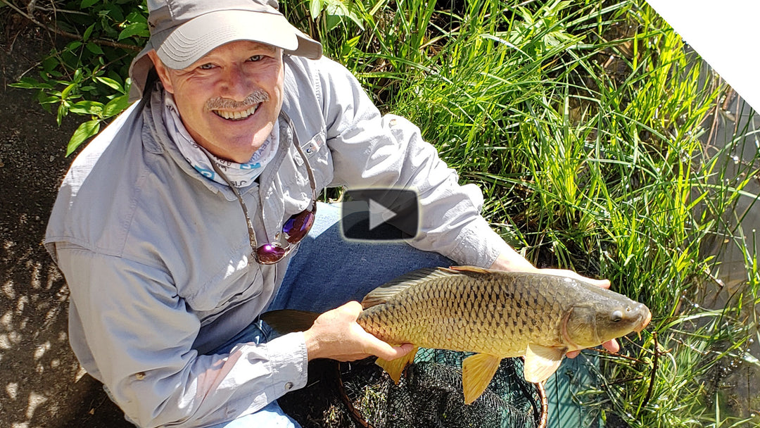 Summertime carp fishing