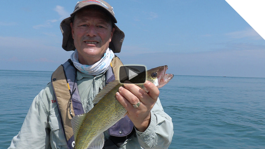 Summer Walleye - Stingnose Jigging Spoon