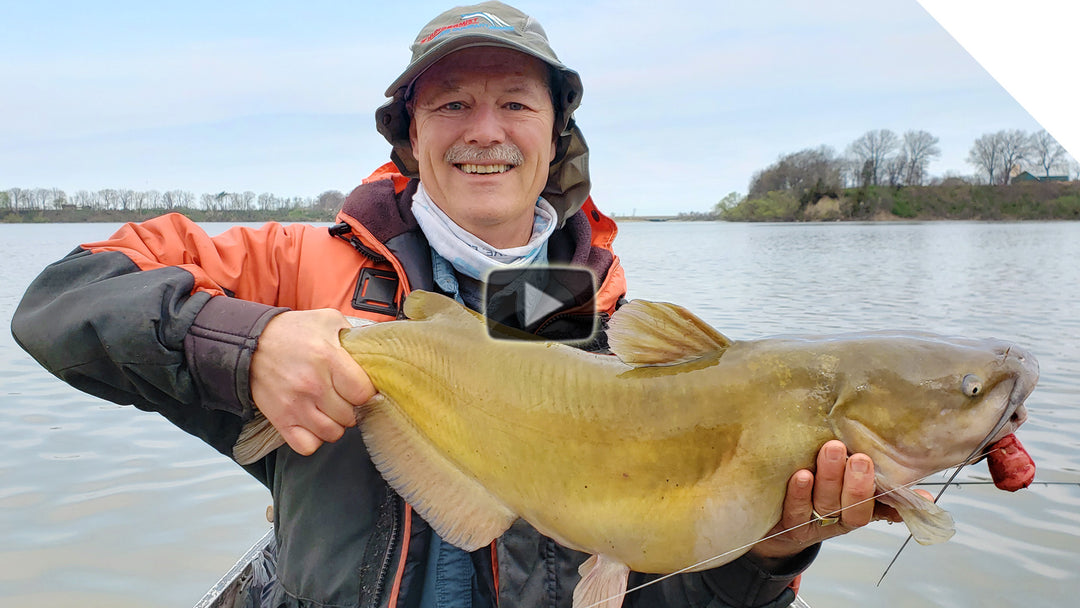 A bloody mix of livers, cut sucker, and shiners to catch channel catfish