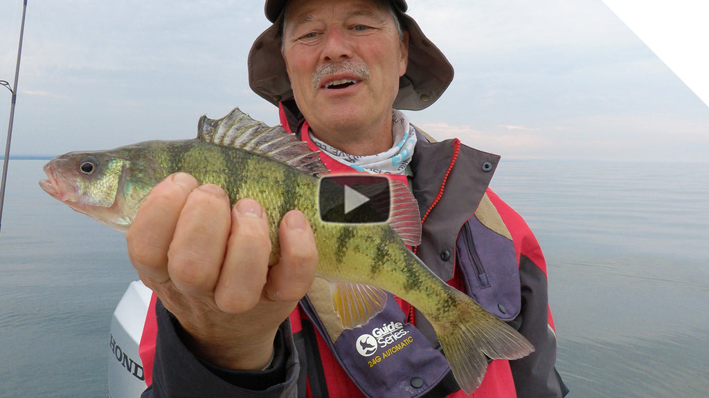 Stingnose Jigging Spoon catching a variety of fish!