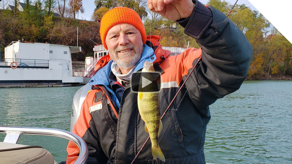Cold water perch fishing with live minnows