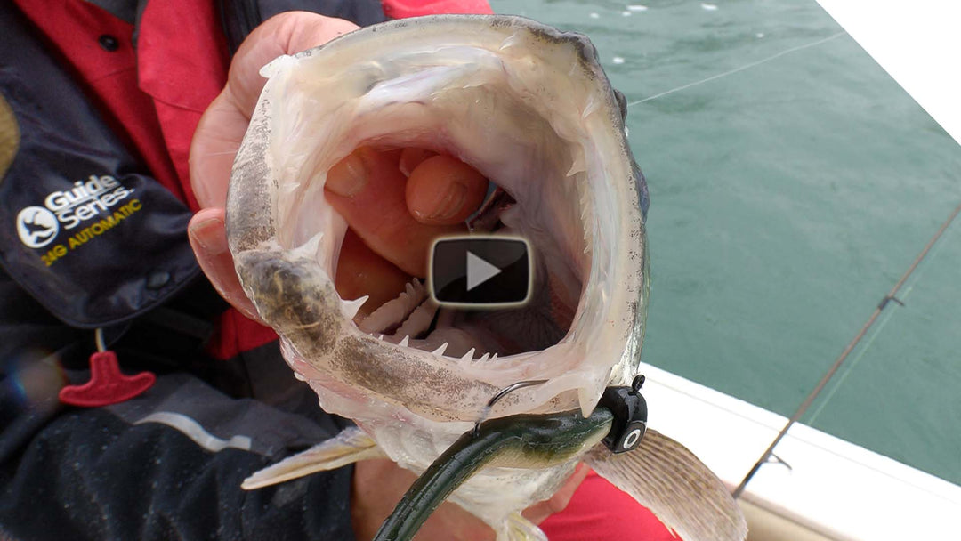 Walleye jigging tips for open water