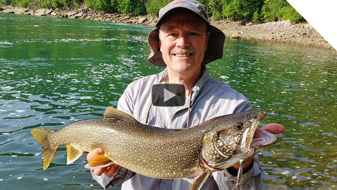 Shoreline Lake Trout