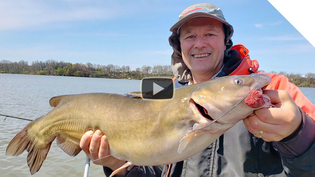 Channel Catfish on the sinker slide