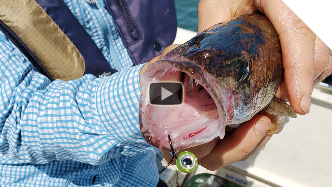 Jigging Walleye on the Eye Drop Stingnose combo