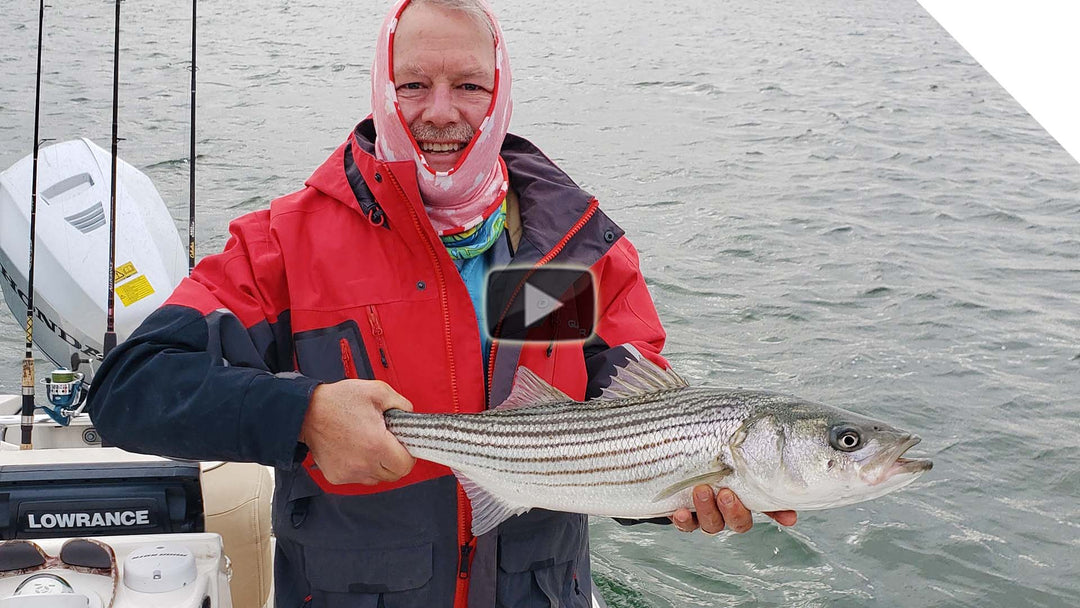 Top Water Striper action with bonus Blue Fish