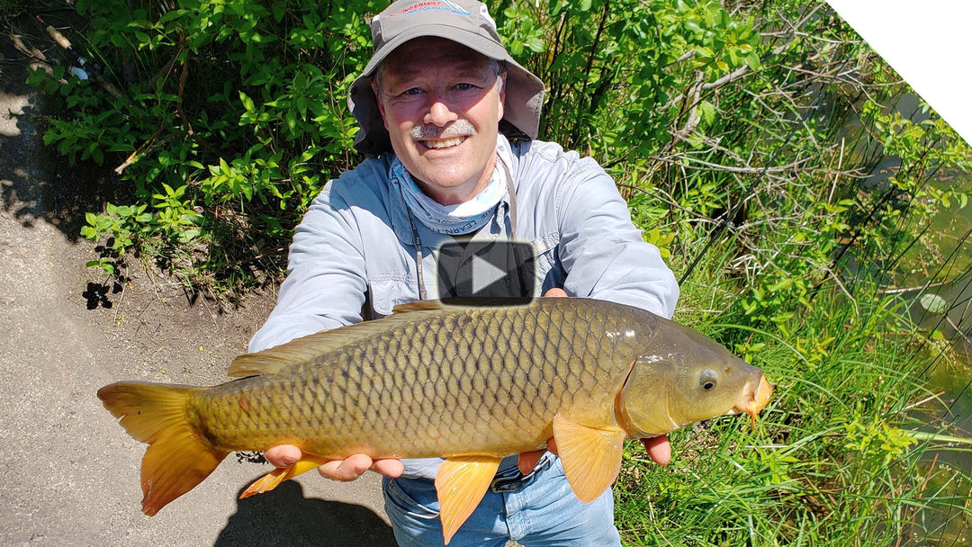 Will carp bite in the afternoon if it's windy out?