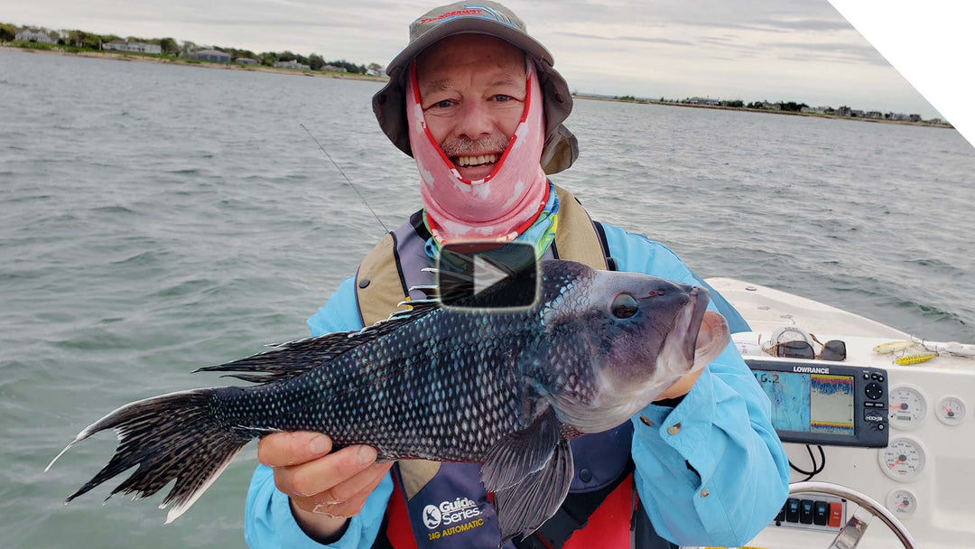 Peanut Bunker Sea Bass - Salt Water, Buzzards Bay