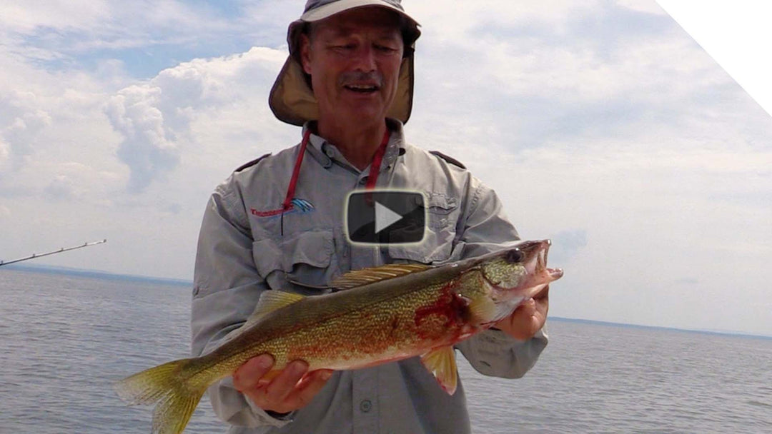 Jigging up walleye... eventually