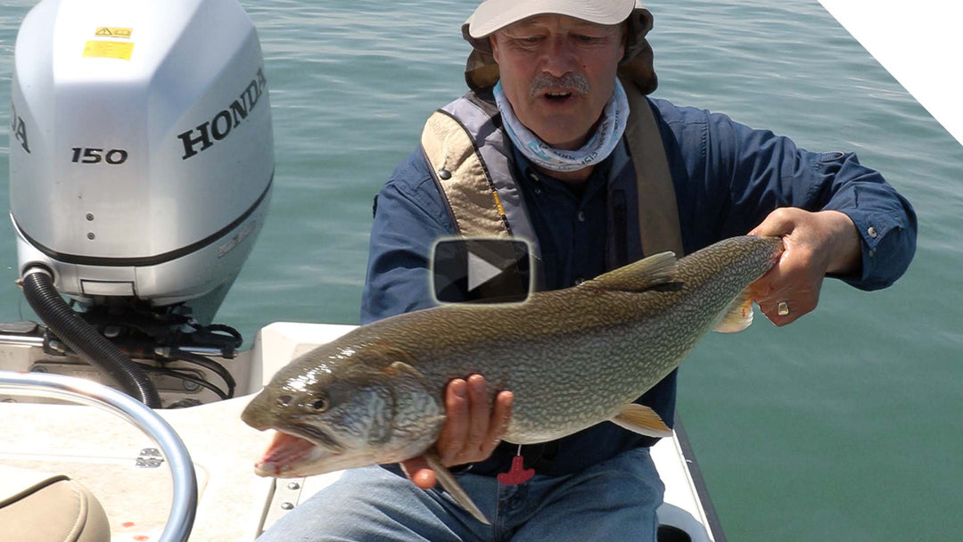 Catching Lake Trout with Bonus Salmon and Crankbait Tips