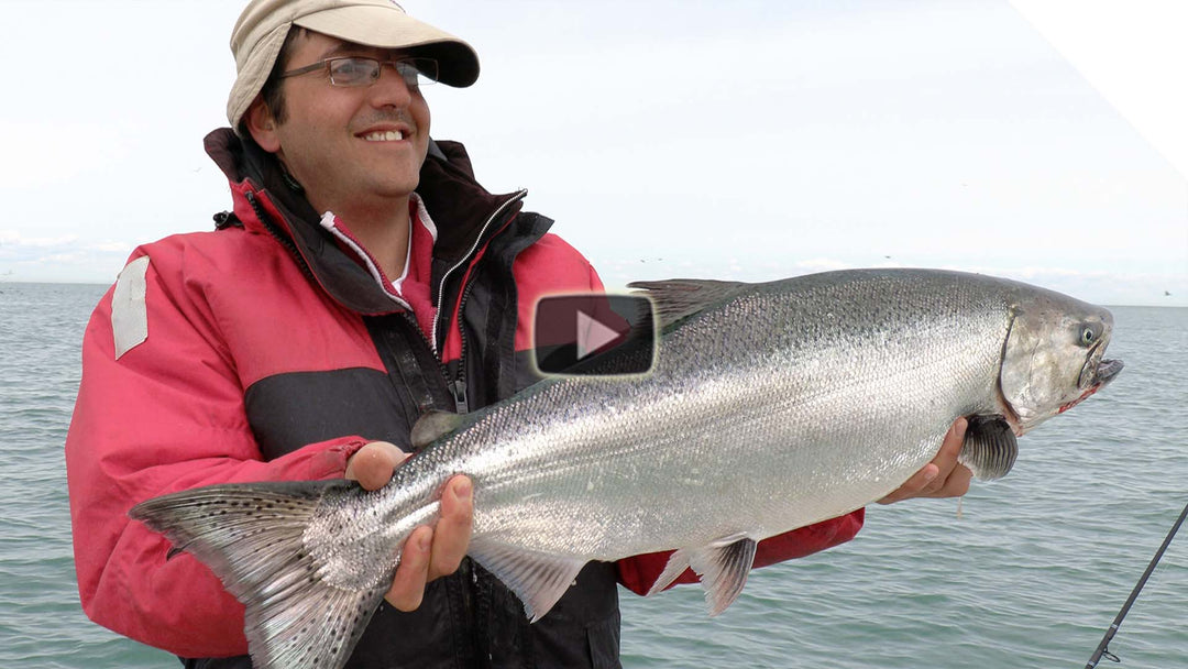 Salmon - Flat line trolling