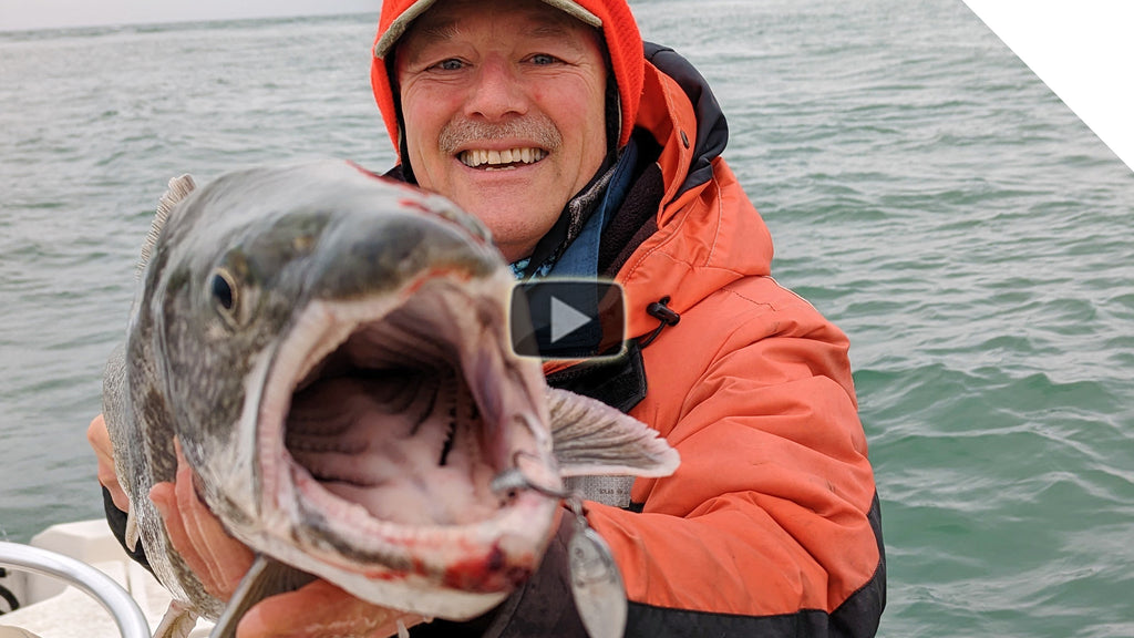 4 drifts, "4" fish! Jigging for Lake Trout with the STINGNOSE peanut bunker