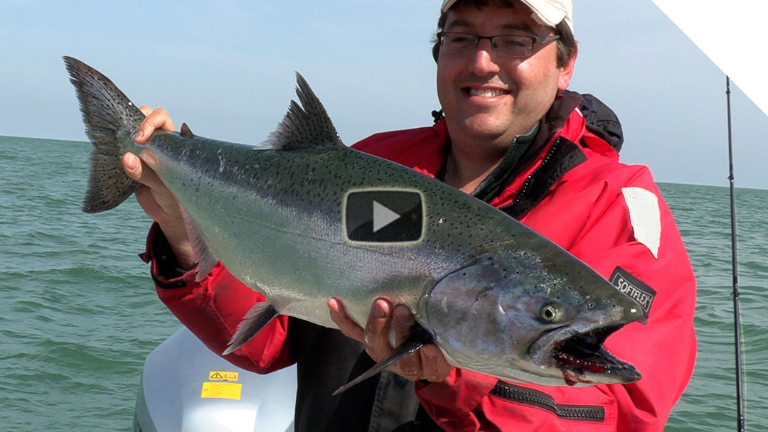 Catching springtime salmon