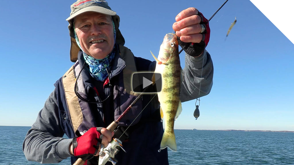 Perch Fishing with live minnows