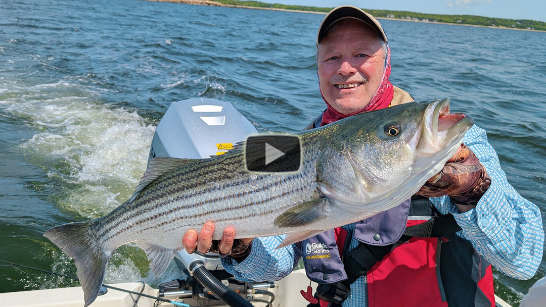 Tipping Top water lures for more Striper action