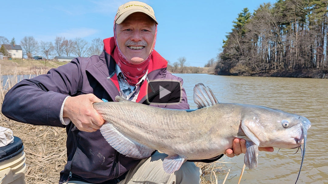 Shoreline channel catfish - 2 different rigs