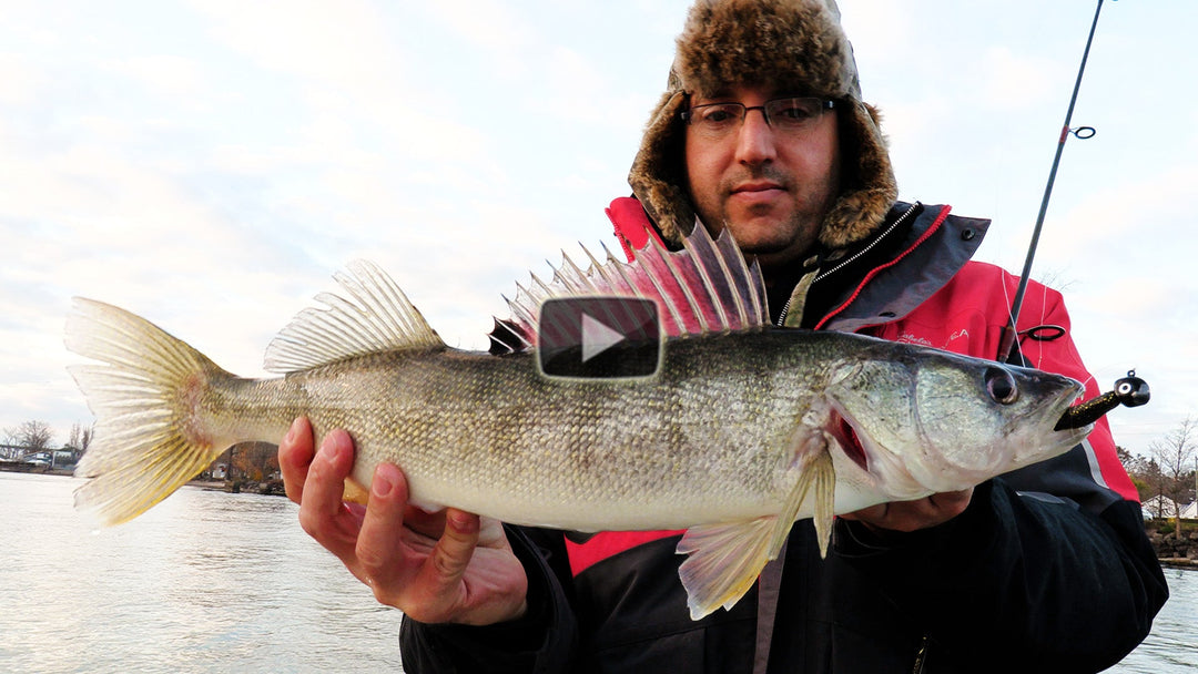 Flexi Jig Walleye