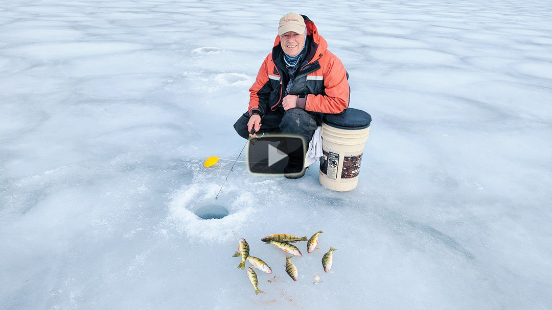 Ice Fishing Perch - no live bait!
