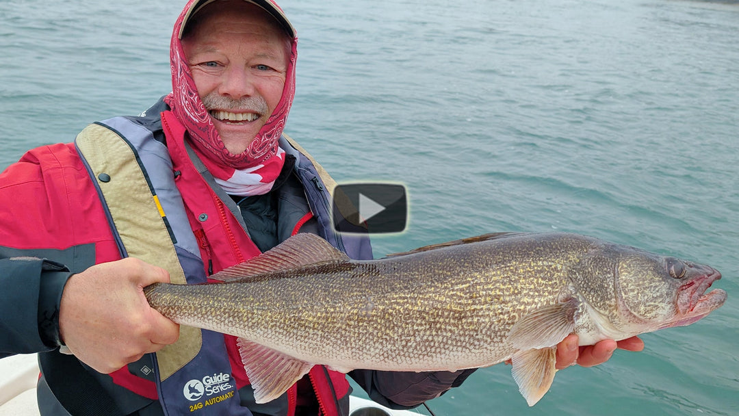 Aggressive bite walleye fishing