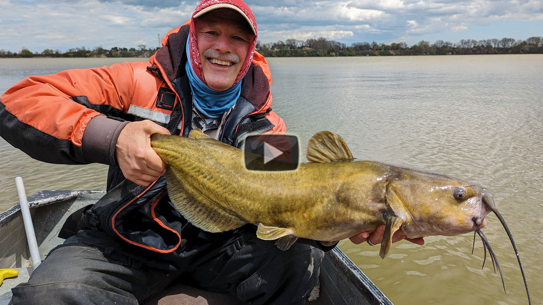 Time for a 20 lb Channel catfish