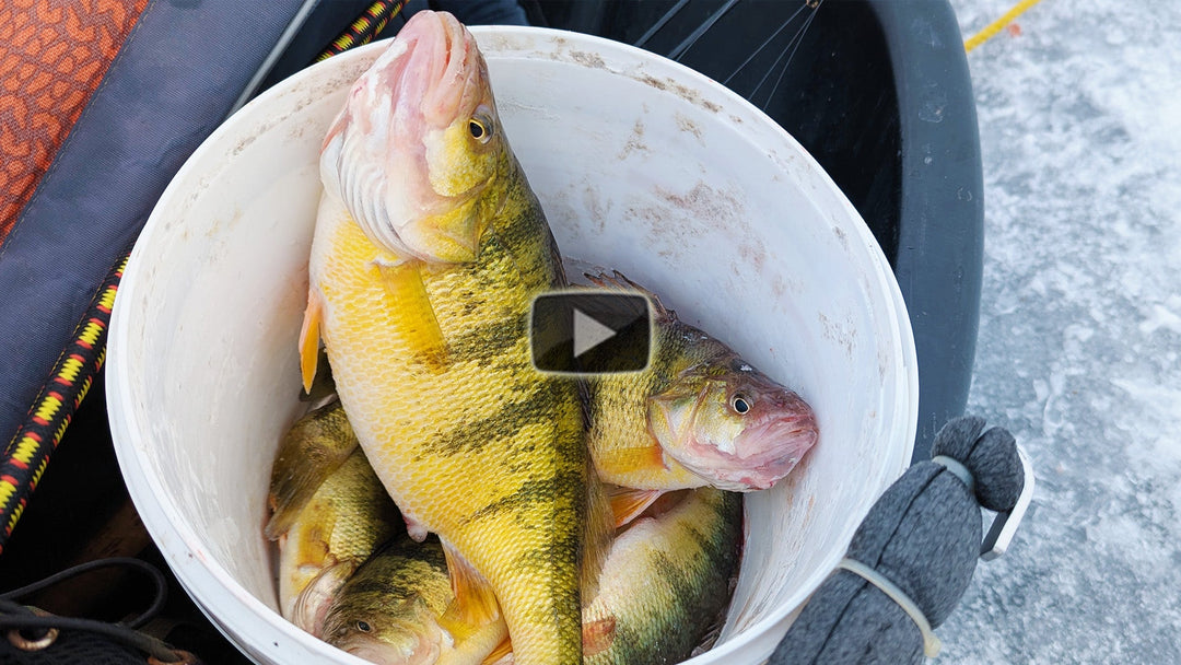 Ice Fishing for Perch on the Lake Erie Eastern Basin