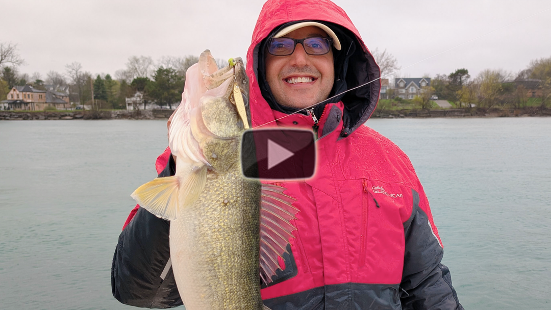 Stingnose Eye-Drop Combo for Walleye
