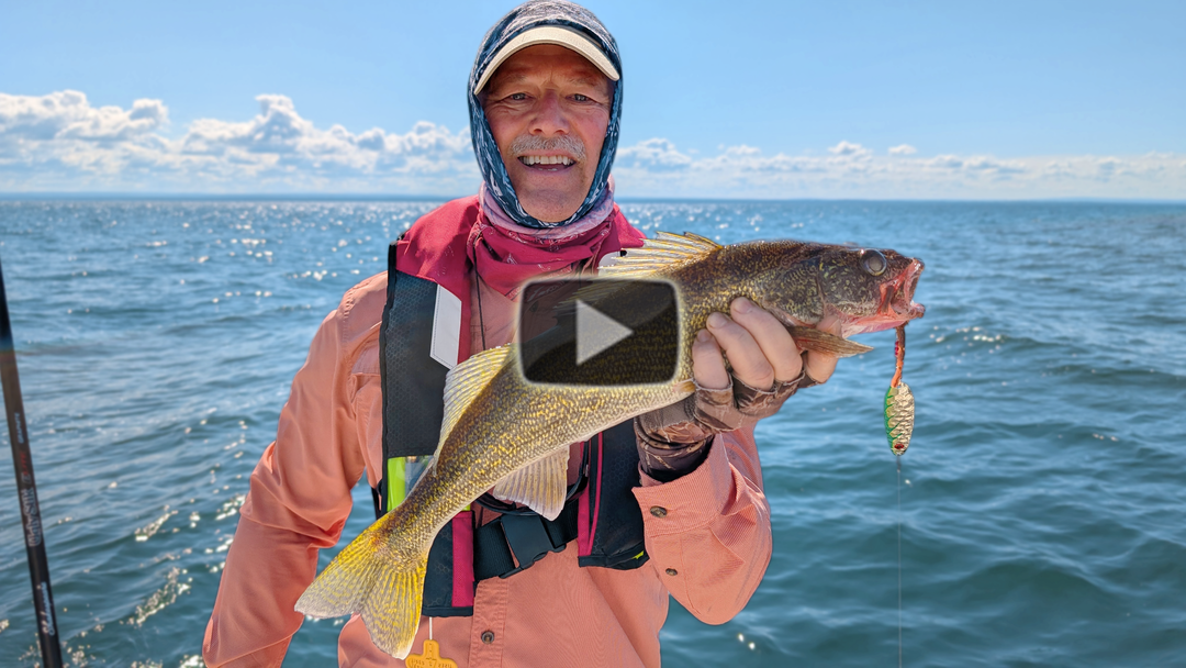 Trolling for walleye on Lake Erie - steady action!