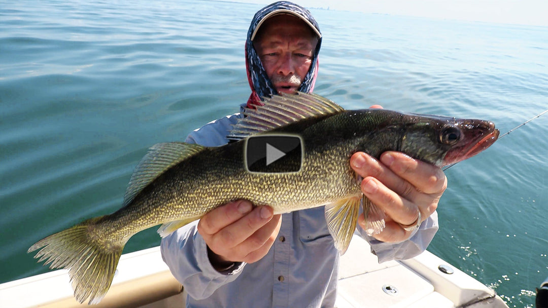 Double header walleye on the viper spoons