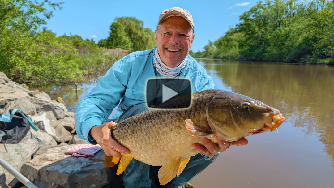 Shore fishing for carp