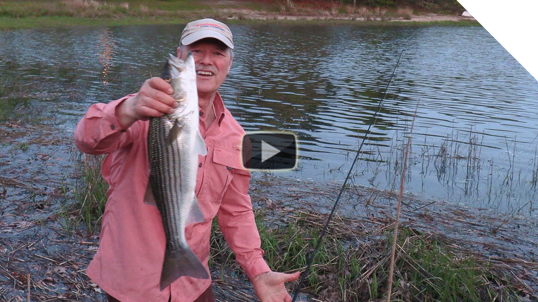 Shore Fishing for Striper - Boatless Top Water Striper fishing