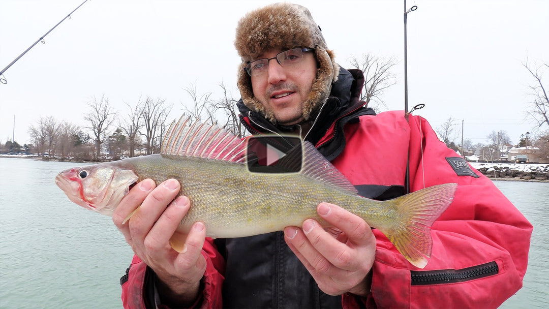 Catching Winter Walleye