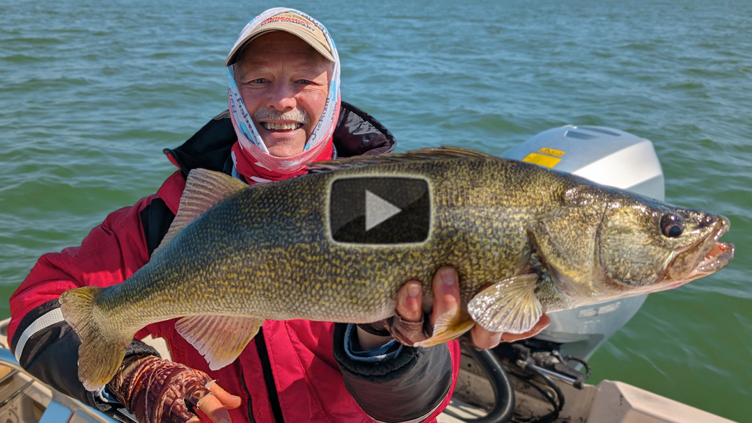 Big Bonus Walleye on the Stingnose
