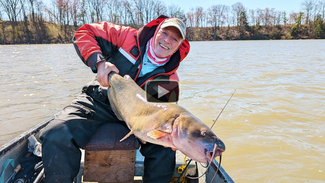 Big Channel Cat bite