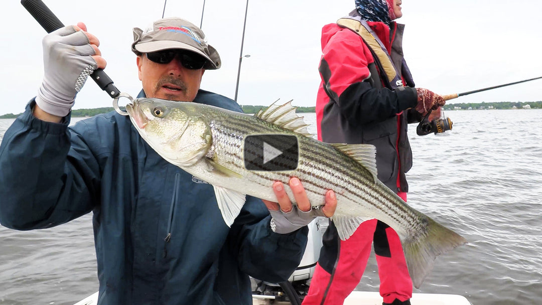 Top Water Striper Fishing - saltwater fishing