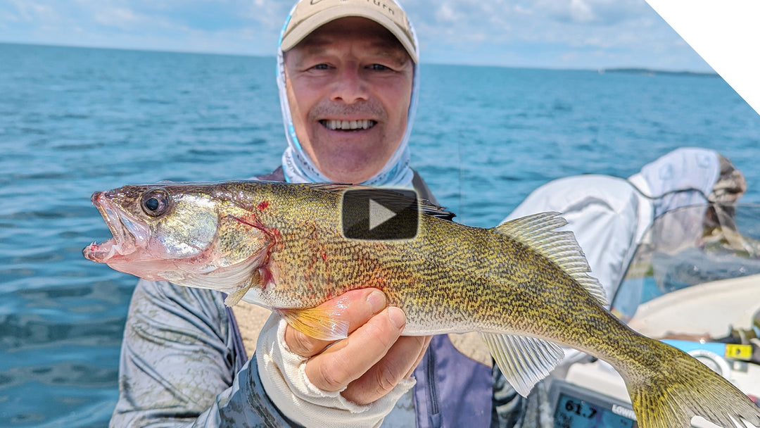 Walleye, sheepshead and perch - what a fun day!!