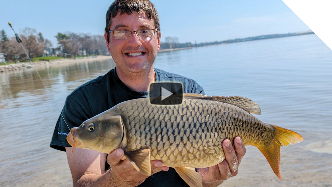 Shore fishing for carp using 2 different rigs | Boatless Angler