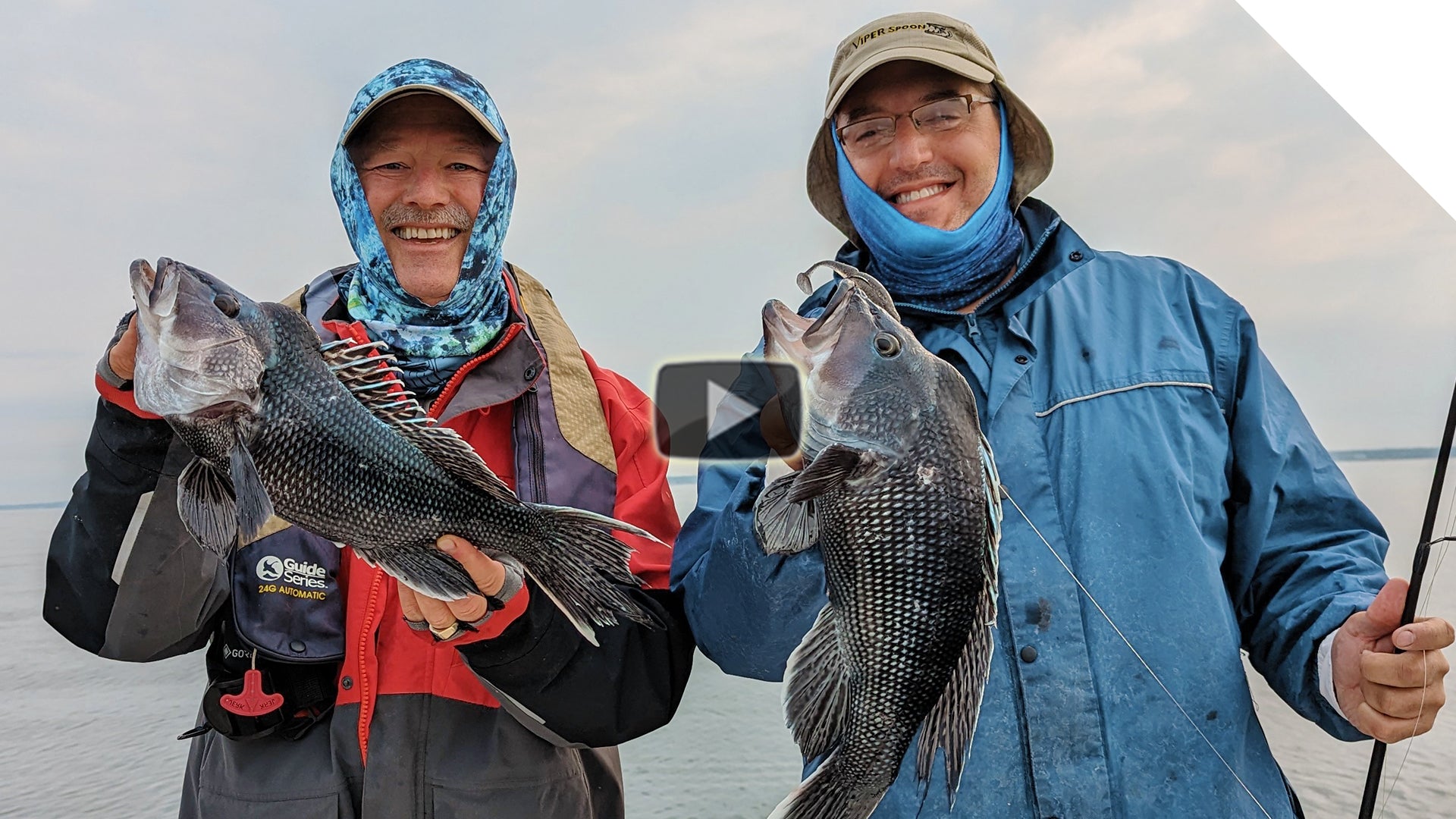 How to catch sea bass using artificial baits