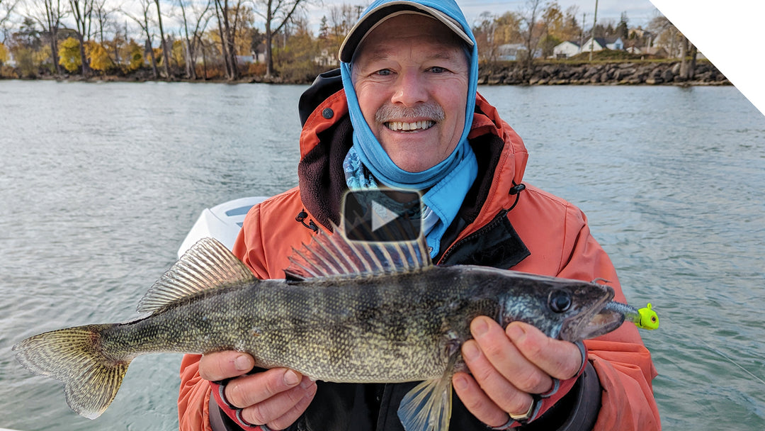 Walleye and Sheepshead combo, on the jig