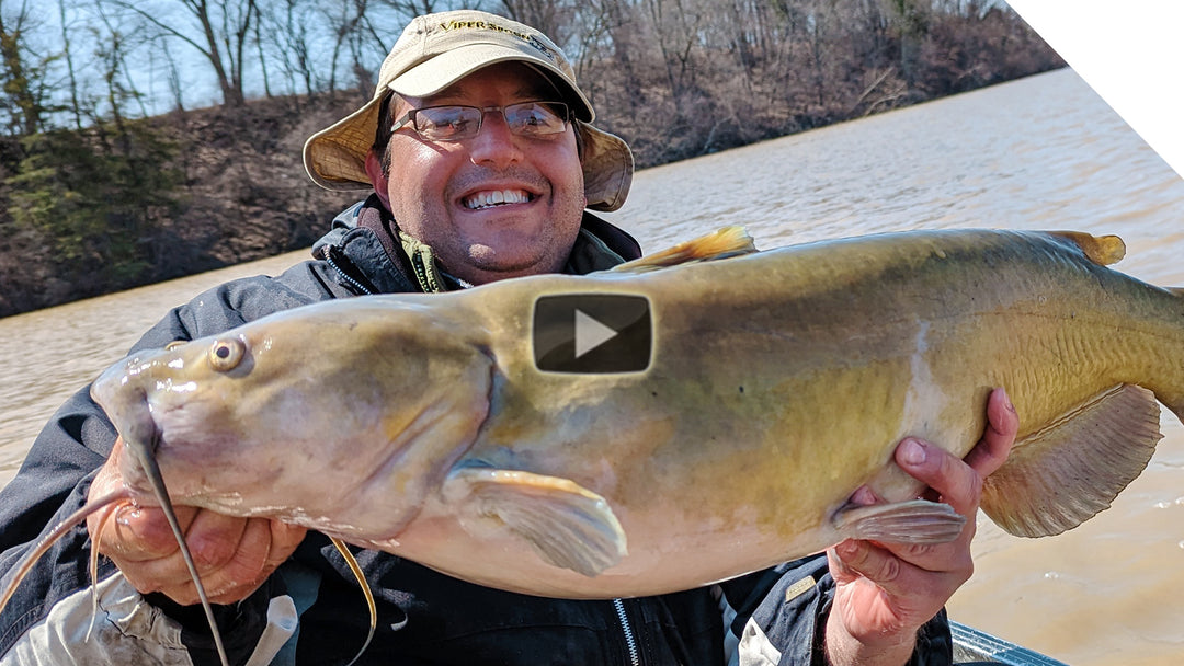 20 lb channel catfish on the Thundermist bait pocket