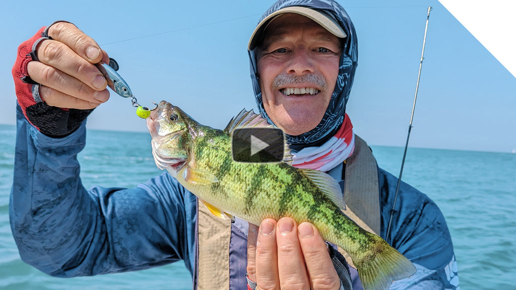 Perch fishing with live minnows and the T-Turn Bait Rig 