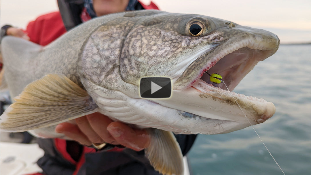 Trout fishing - bottom bounce method